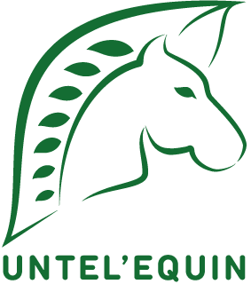 Untel'Equin